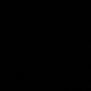 Meet your Posher, Preston